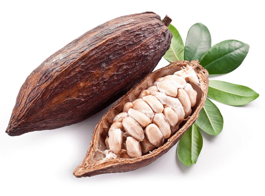 Cocoa